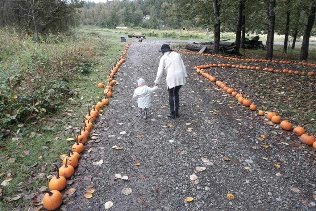 Signed Samantha's October Q&A her and her daughter are walking along a pumpkin lined path facing away from the camera.