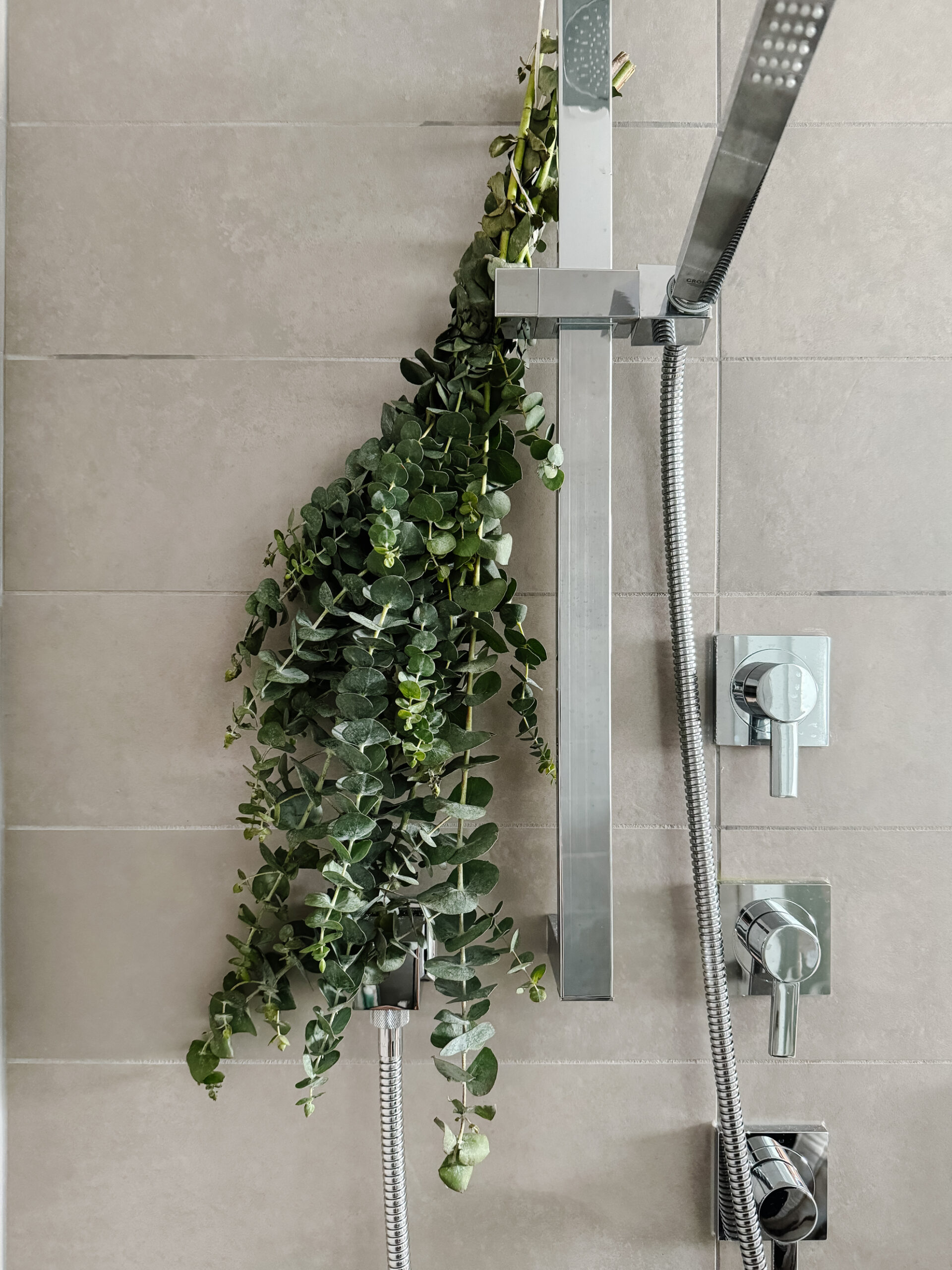 luxury bathroom vibes with eucalyptus hanging from the shower